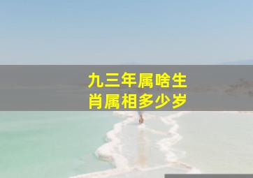 九三年属啥生肖属相多少岁