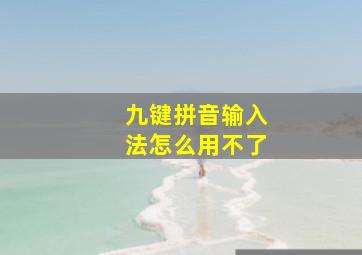 九键拼音输入法怎么用不了