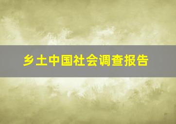 乡土中国社会调查报告