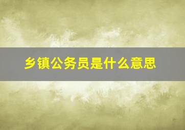 乡镇公务员是什么意思