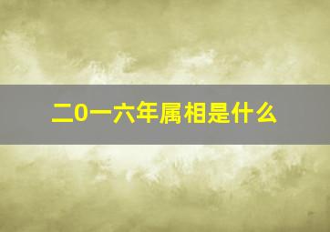 二0一六年属相是什么