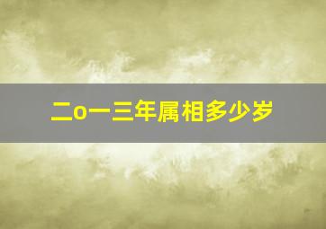 二o一三年属相多少岁