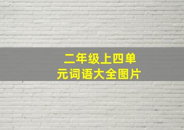 二年级上四单元词语大全图片