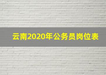 云南2020年公务员岗位表