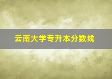 云南大学专升本分数线