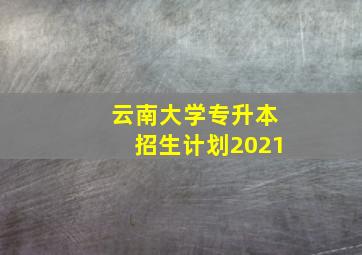 云南大学专升本招生计划2021