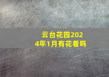 云台花园2024年1月有花看吗