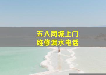 五八同城上门维修漏水电话