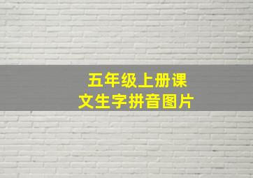 五年级上册课文生字拼音图片