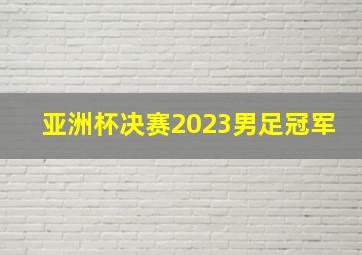 亚洲杯决赛2023男足冠军