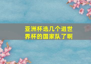 亚洲杯选几个进世界杯的国家队了啊