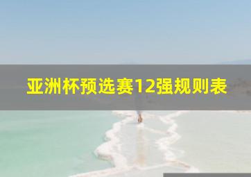 亚洲杯预选赛12强规则表