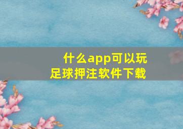 什么app可以玩足球押注软件下载