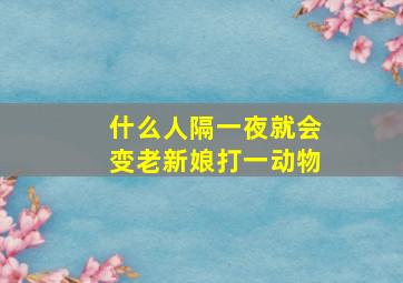 什么人隔一夜就会变老新娘打一动物