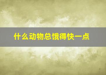 什么动物总饿得快一点