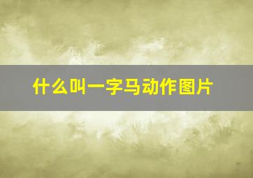 什么叫一字马动作图片