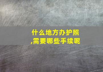 什么地方办护照,需要哪些手续呢