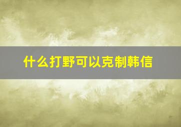 什么打野可以克制韩信