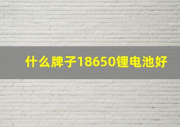 什么牌子18650锂电池好