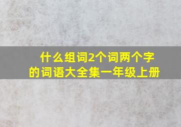 什么组词2个词两个字的词语大全集一年级上册