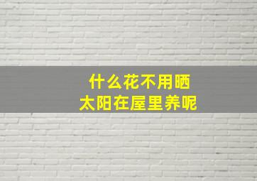 什么花不用晒太阳在屋里养呢