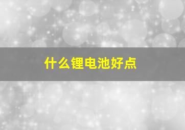 什么锂电池好点