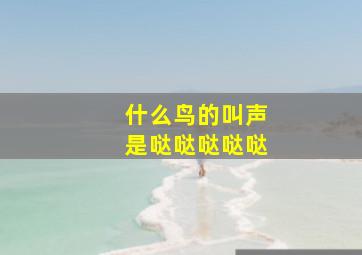 什么鸟的叫声是哒哒哒哒哒