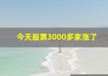 今天股票3000多家涨了