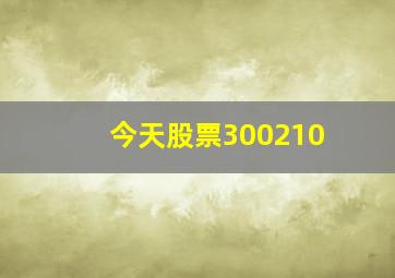 今天股票300210