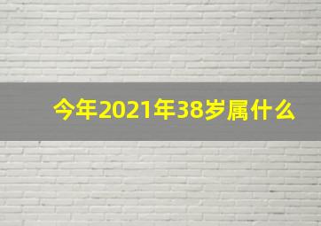 今年2021年38岁属什么