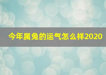 今年属兔的运气怎么样2020