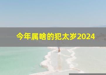 今年属啥的犯太岁2024