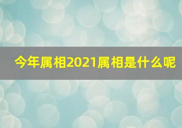 今年属相2021属相是什么呢