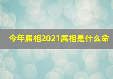 今年属相2021属相是什么命