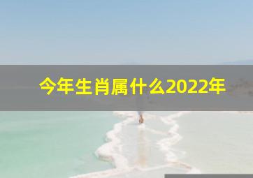 今年生肖属什么2022年