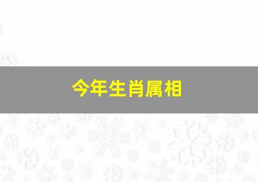 今年生肖属相