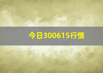 今日300615行情