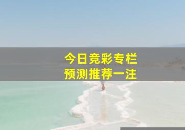 今日竞彩专栏预测推荐一注