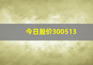 今日股价300513