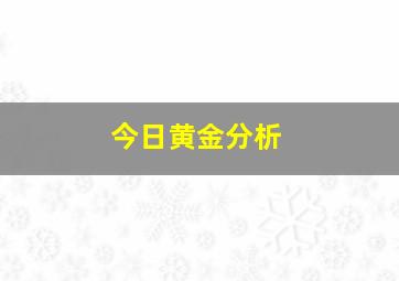 今日黄金分析