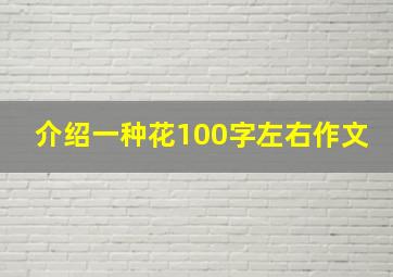 介绍一种花100字左右作文