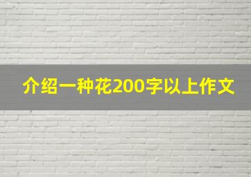 介绍一种花200字以上作文