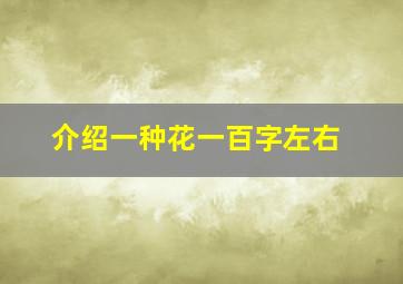 介绍一种花一百字左右