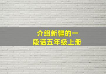 介绍新疆的一段话五年级上册