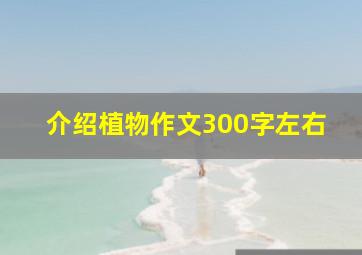 介绍植物作文300字左右