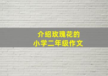 介绍玫瑰花的小学二年级作文