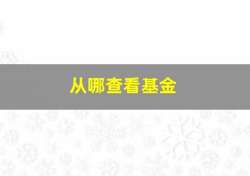 从哪查看基金