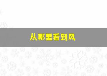 从哪里看到风