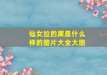 仙女拉的屎是什么样的图片大全大图