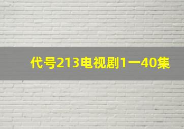 代号213电视剧1一40集